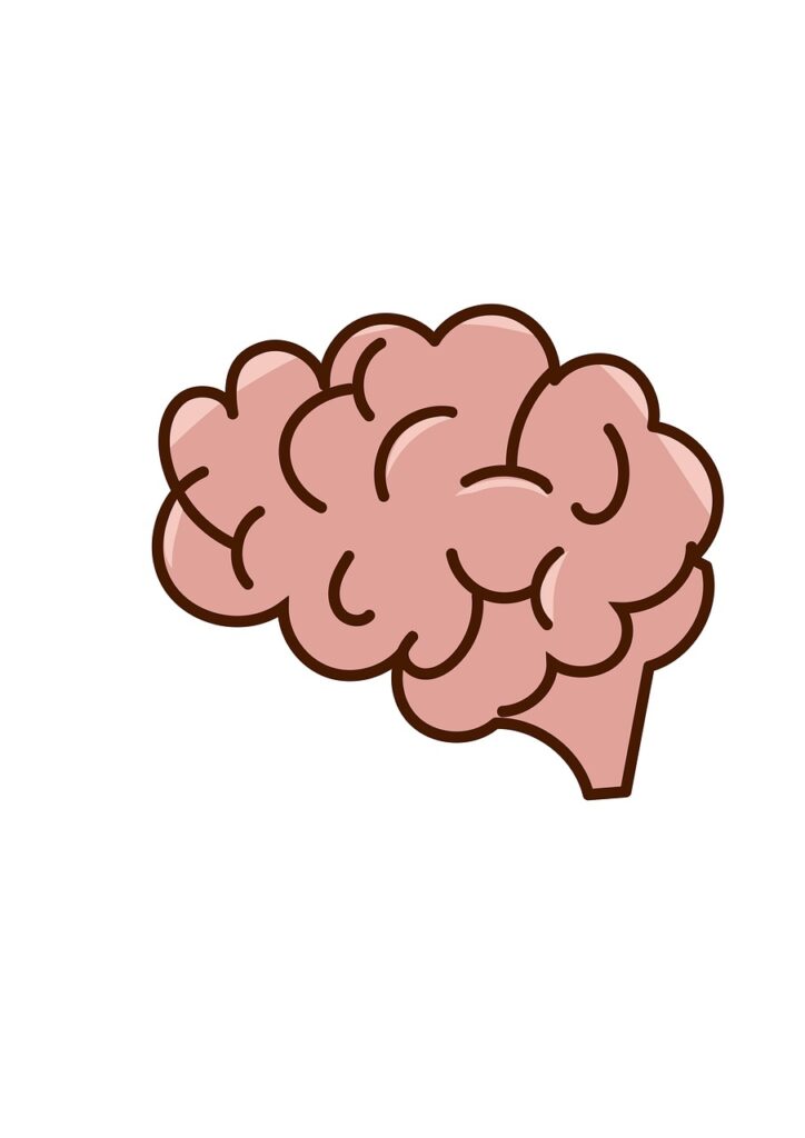 gab788709e06683f45e79ee00dd82501cd7763fd8f143869c5249506cc0be4dd144d27ad429f4c3dbbe1e540a4accfc312fe699ccd4a344ada8534e70e6a2233e_1280-7643988 brain, thoughts, human body, face, psychology, concentration, ideas, drawn face, drawing, ask, demand, doubt, split personality, chaos, uncertainty, fear, thought, grey matter, comparison, fantasy, open ear, closed mind, person, brain, brain, brain, brain, brain